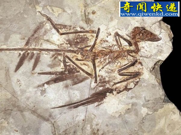 ʺС