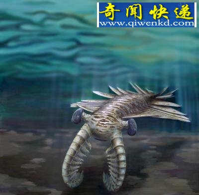(图)澳大利亚发现5亿年前巨型海洋食肉动物化石
