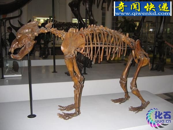 仯ĩαڵԶžѨ 
