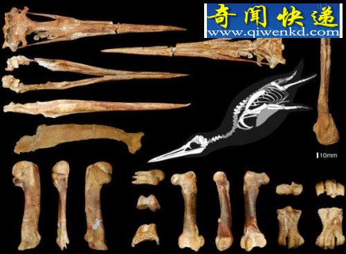 컯ʯ