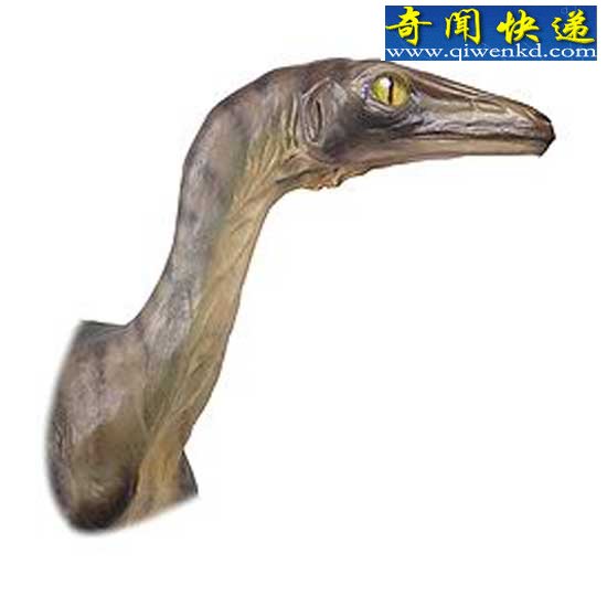 ˫ӵĹ 