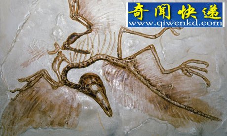 (ͼ)Ŀѧҳʼ񲢷ǿ ֮½ 