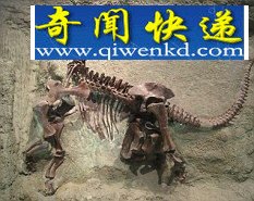 (图)牙齿化石首次证明恐龙像鸟一样迁徙