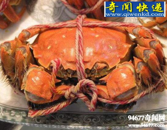 世界上第一个吃螃蟹的人,巴解(误打误撞发现美食)
