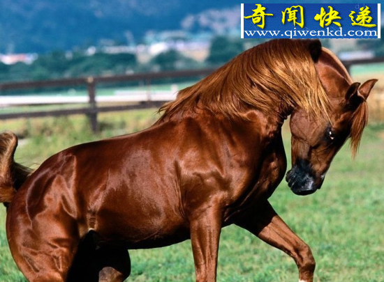 ̵еĴǿǧĳ