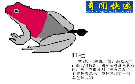 ʳ 䶾Һ