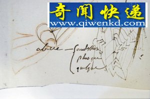 ӢĿָ漣