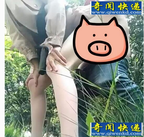 Ů骵ı¶Ƭߴ磬ֱҰսε˾
